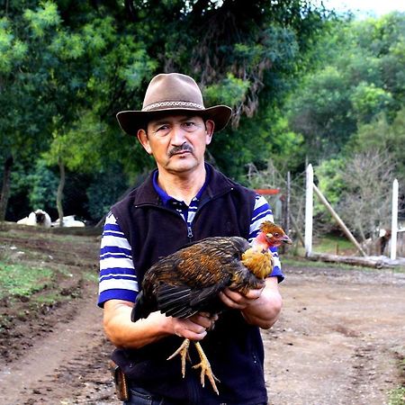 Cabanas Huilipan Gonzalez Нуэва-Империаль Экстерьер фото
